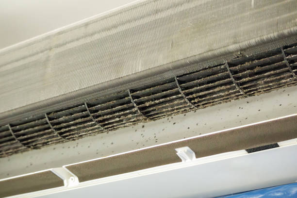 Best Air Vent Cleaning Services  in Avon Lake, OH